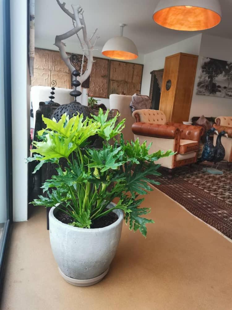 וואלביס ביי The Rez Guesthouse מראה חיצוני תמונה